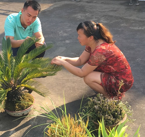 ͼΪͬѧ�ǵ���ѯ�ʹ���